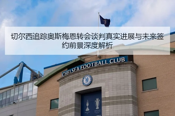 切尔西追踪奥斯梅恩转会谈判真实进展与未来签约前景深度解析